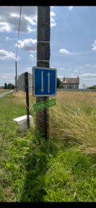 rare sur le secteur
