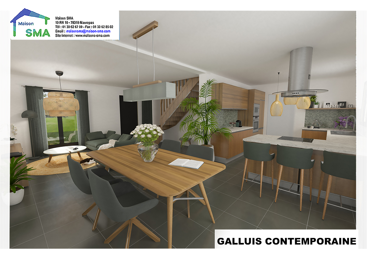 sma-modele-galluis-contemporaine-int-fi.jpg